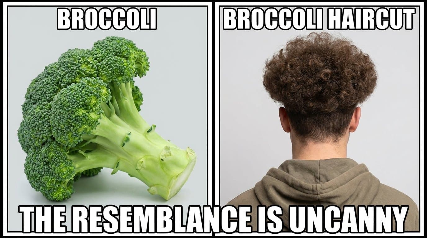 Split comparison meme format: left side shows actual broccoli vegetable, right side shows young